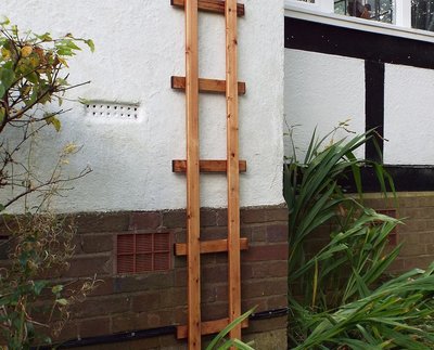 Charles Taylor Stained Trellis - 1ft
