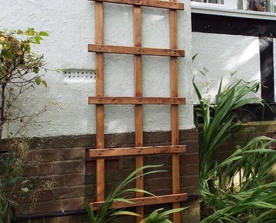 Charles Taylor Stained Trellis - 2ft