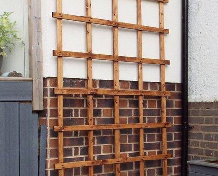 Charles Taylor Stained Trellis - 4ft