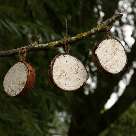 Peckish Natural Balance Coconut Feeder - 4 Pack - image 2