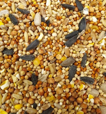 Seed & Grain Mix Bird Food 20kg