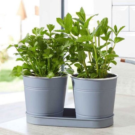 Smart Garden 1 Litre Herb Pots - 2 Pack - image 2