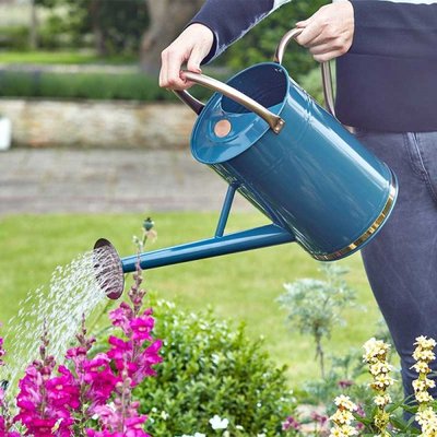 Smart Garden Metal Watering Can - Blue 9L - image 2