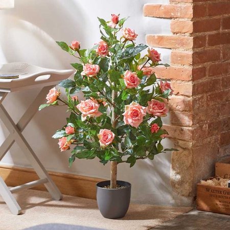 Smart Garden Regent's Roses - Perfect Pink 80cm - image 1