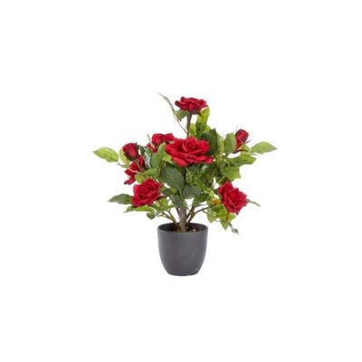 Smart Garden Regent's Roses - Ruby Red 40cm - image 2