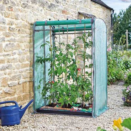 Smart Garden Tomato GroZone Max - Double Sided - image 1