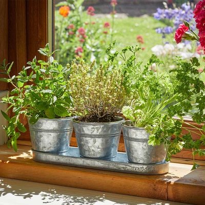 Smart Garden Windowsill Herb Pots - Galvanised - 3 Pack - image 2