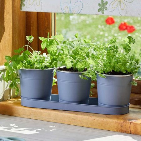 Smart Garden Windowsill Herb Pots - Slate - 3 Pack - image 2