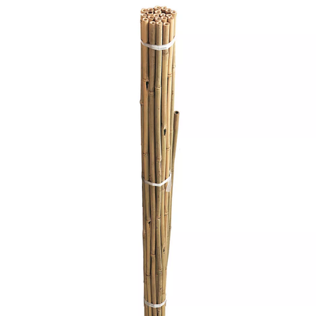 Westland Growing Bamboo Canes Bulk Bundle 120cm (20 Pack)