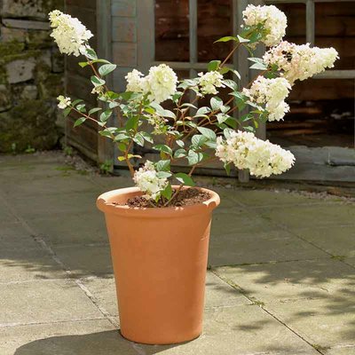 Yorkshire Flower Pots Tall Flowerpot