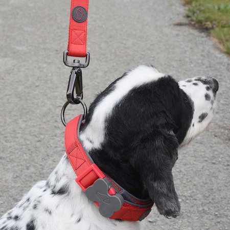 Zoon Uber-Activ Red Padded Dog Collar - Medium - image 2